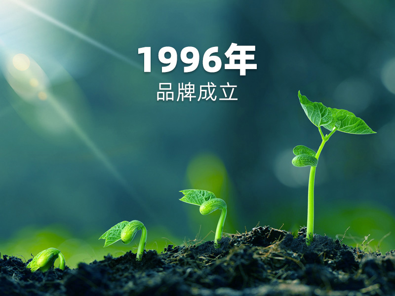 1996年品牌成立：PCB硬板制造征程，匠心傳承！
